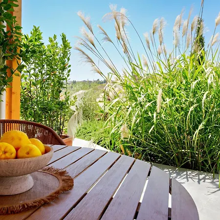 Acqua Petra Pool & * Agrigent